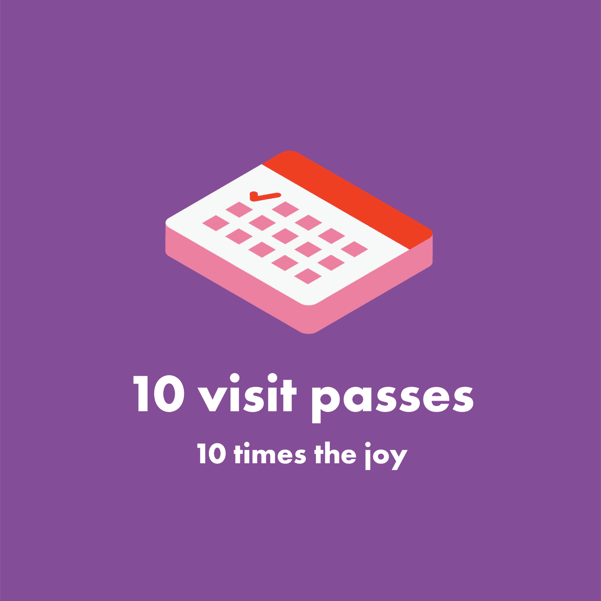 10 visit pass